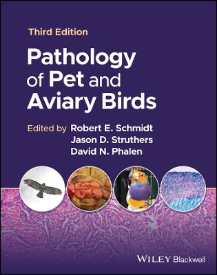 Pathology of Pet and Aviary Birds - Robert E. Schmidt; Jason D. Struthers; David N. Phalen