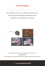 Der Einfluss von HIF 1α auf die Immunantwort des Wirts bei Chlamydien-Infektionen des weiblichen Genitaltrakts der Maus - Celeste Scholz
