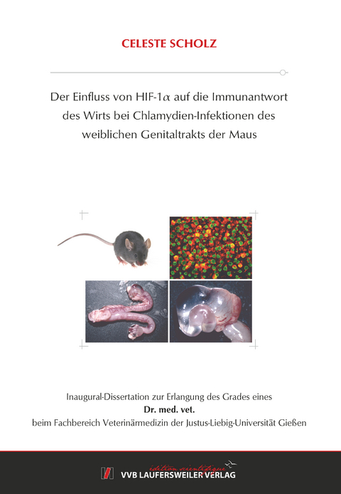 Der Einfluss von HIF 1α auf die Immunantwort des Wirts bei Chlamydien-Infektionen des weiblichen Genitaltrakts der Maus - Celeste Scholz