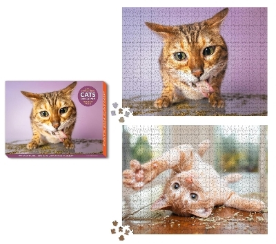 Cats on Catnip 2-in-1 Double-Sided 1,000-Piece Puzzle - Andrew Marttila