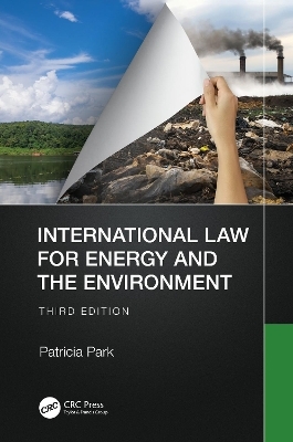 International Law for Energy and the Environment - Patricia Park
