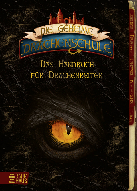Die geheime Drachenschule - Das Handbuch für Drachenreiter - Emily Skye