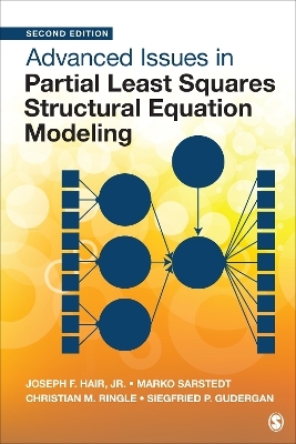 Advanced Issues in Partial Least Squares Structural Equation Modeling - Joe Hair, Marko Sarstedt, Christian M. Ringle, Siegfried P. Gudergan