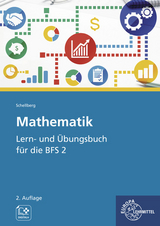 Mathematik - Lern- und Übungsbuch für die BFS 2 - Daniel Schellberg
