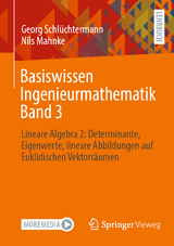 Basiswissen Ingenieurmathematik Band 3 - Georg Schlüchtermann, Nils Mahnke