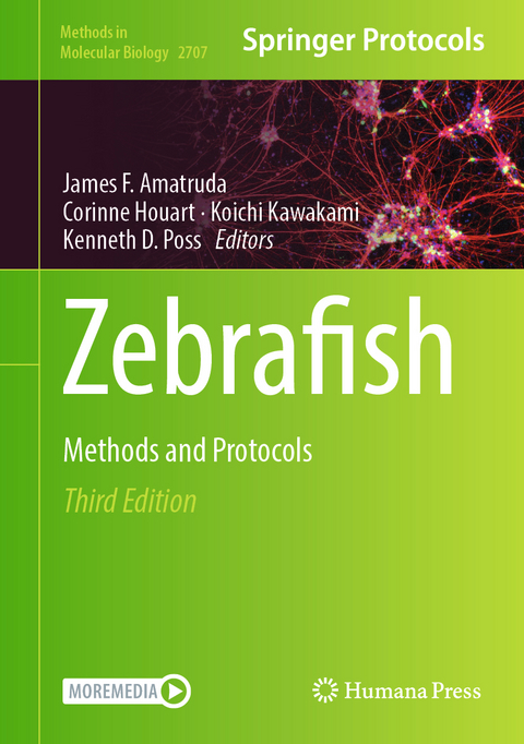 Zebrafish - 