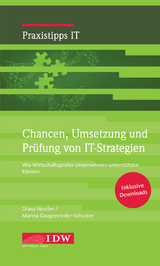 Chancen, Umsetzung und Prüfung von IT-Strategien - Diana Nestler, Marina Gaugenrieder-Schuster