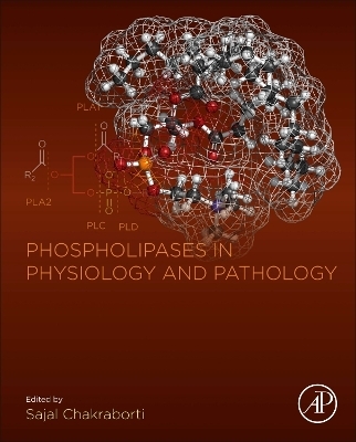 Phospholipases in Physiology and Pathology - 