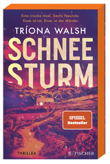 Schneesturm - Tríona Walsh