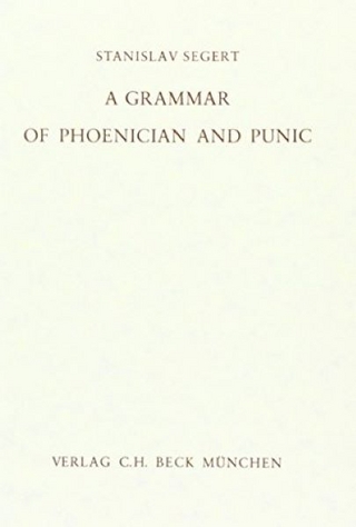 A Grammar of Phoenician and Punic - Stanislav Segert