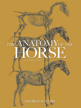 Anatomy of the Horse - George Stubbs