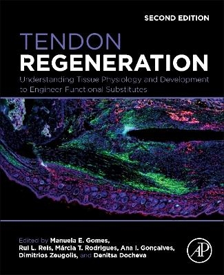 Tendon Regeneration - 