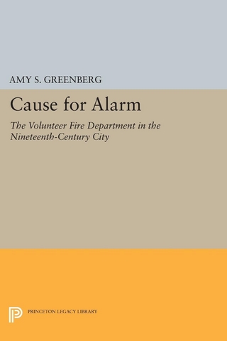 Cause for Alarm - Amy S. Greenberg