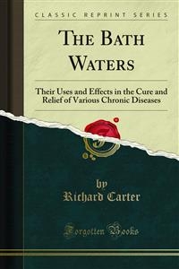 The Bath Waters - Richard Carter
