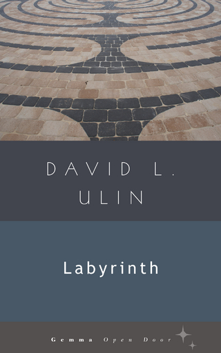 Labyrinth - David L Ulin
