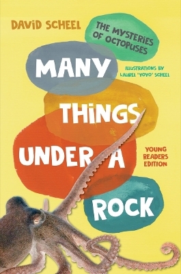 Many Things Under a Rock Young Readers Edition - David Scheel