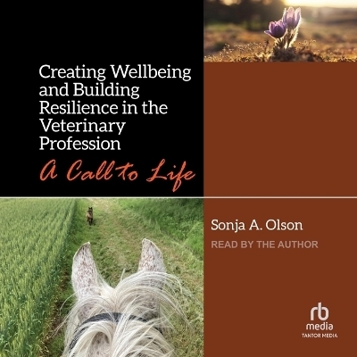 Creating Wellbeing and Building Resilience in the Veterinary Profession - Sonja A Olson