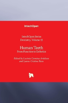 Human Teeth - 