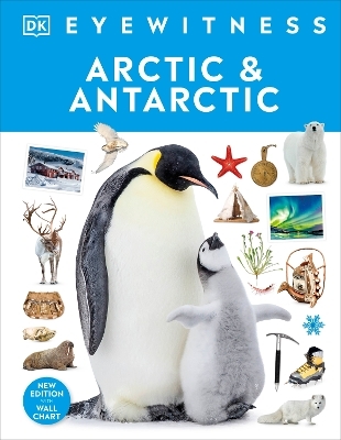 Arctic and Antarctic -  Dk