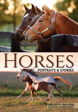 Horses -  Shelley Paulson