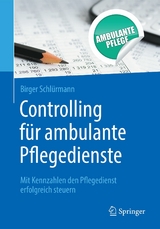 Controlling für ambulante Pflegedienste - Birger Schlürmann