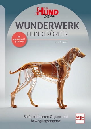 Wunderwerk Hundekörper