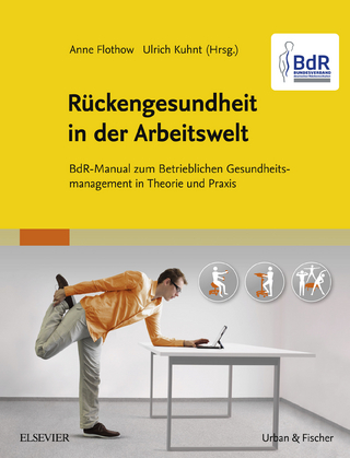 BdR-Manual Rückengesundheit in der Arbeitswelt - Anne Flothow; Ulrich Kuhnt