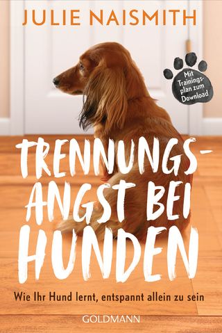 Trennungsangst bei Hunden