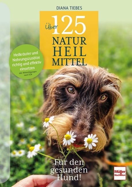 Über 125 Naturheilmittel Für den gesunden Hund! - Diana Tiebes