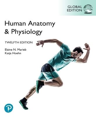 Human Anatomy & Physiology, Global Edition -- Mastering A&P with Pearson eText - Elaine Marieb, Katja Hoehn