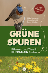 Grüne Spuren - Hilke Steinecke, Marco Schmidt, Peter Schubert