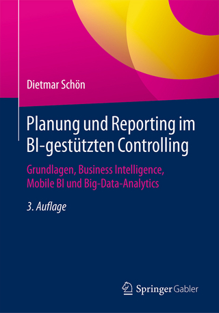 Planung und Reporting im BI-gestützten Controlling
