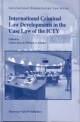 International Criminal Law Developments in the Case Law of the Icty - Gideon Boas; William A. Schabas