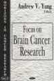 Focus on Brain Cancer Research - Andrew V. Yang