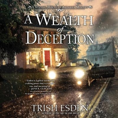 A Wealth of Deception - Trish Esden
