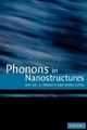 Phonons in Nanostructures - Michael A. Stroscio; Mitra Dutta