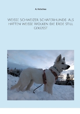 Weiße Schweizer Schäferhunde: Als hätten weiße Wolken die Erde still geküsst - A. Ketschau