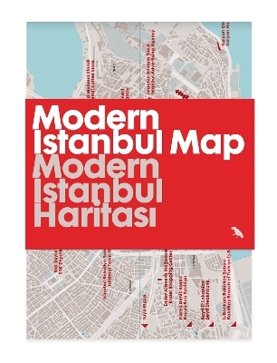 Modern Istanbul Map / Modern İstanbul Haritası - Özlem Balcı Öztürk