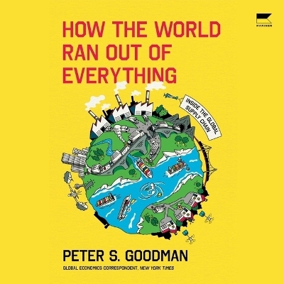 How the World Ran Out of Everything - Peter S Goodman
