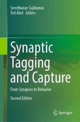 Synaptic Tagging and Capture - Sajikumar, Sreedharan; Abel, Ted