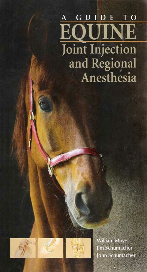 Guide to Equine Joint Injection and Regional Anesthesia - William Moyer