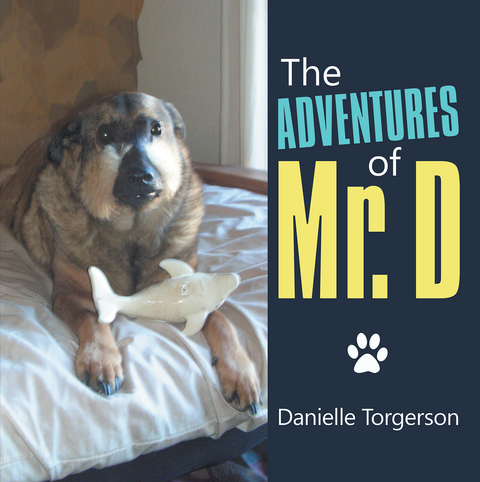 Adventures of Mr. D -  Danielle Torgerson
