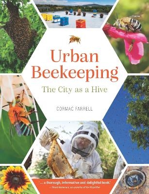 Urban beekeeping