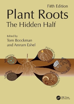 Plant Roots - 