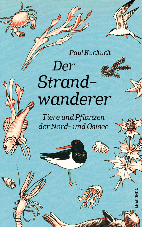 Der Strandwanderer. Tiere und Pflanzen der Nord- und Ostsee - Paul Kuckuck
