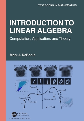 Introduction To Linear Algebra - Mark J. DeBonis