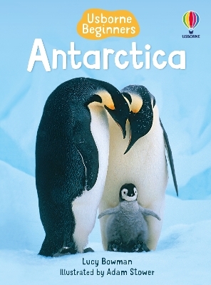 Antarctica - Lucy Bowman