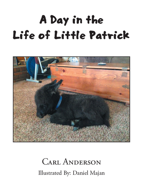 Day in the Life of Little Patrick -  Carl Anderson