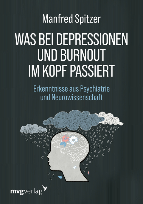 Was bei Depressionen und Burnout im Kopf passiert - Manfred Spitzer