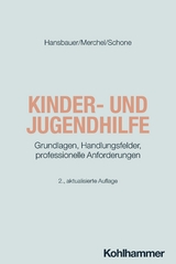 Kinder- und Jugendhilfe - Hansbauer, Peter; Merchel, Joachim; Schone, Reinhold